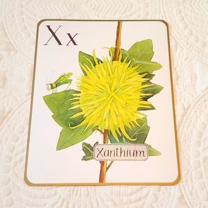 4 for $25! Letter X Xanthium Flower Card